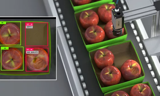 IDS 摄像机检查传送带上包装苹果的完整性和质量。