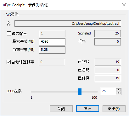 IDS 软件套件的屏幕截图，显示“记录”对话框。