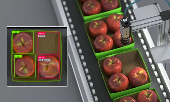 IDS NXT相机在传送带上检查包装中的苹果的完整性和质量。
