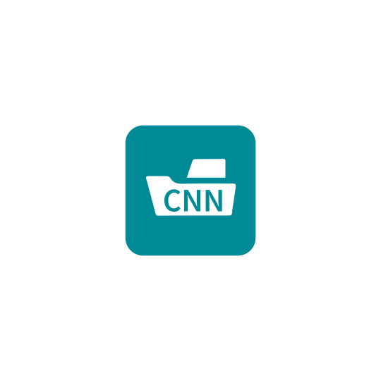 采用 IDS 颜色的 CNN 标志。