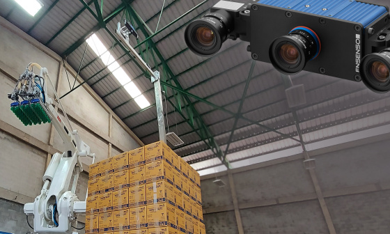 集成了图像处理功能的自动化3D码垛解决方案。