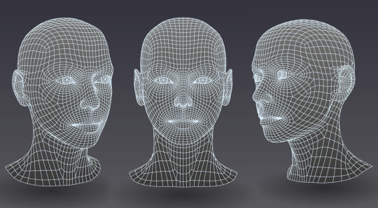 脸部3D立体模型自动识別