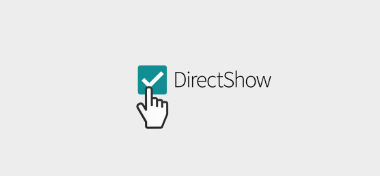 手形符号点击标有 DirectShow 的复选框