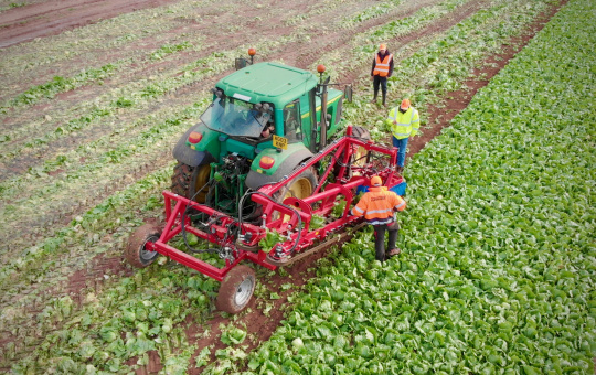 Agri-Epicentre（英国）的生菜采收机器人原型机