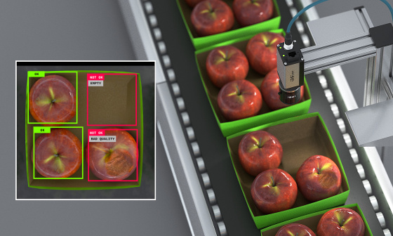 IDS NXT 檢查輸送帶上蘋果的完整性和品質