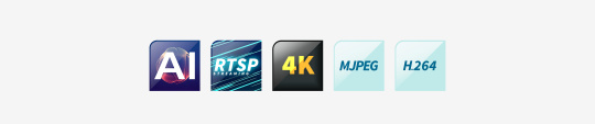 带有标签的图标：AI、RTSP、4K、MJPEG、H264